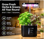 BotaniBright in black growing fresh basil and herbs on a kitchen counter #color-black